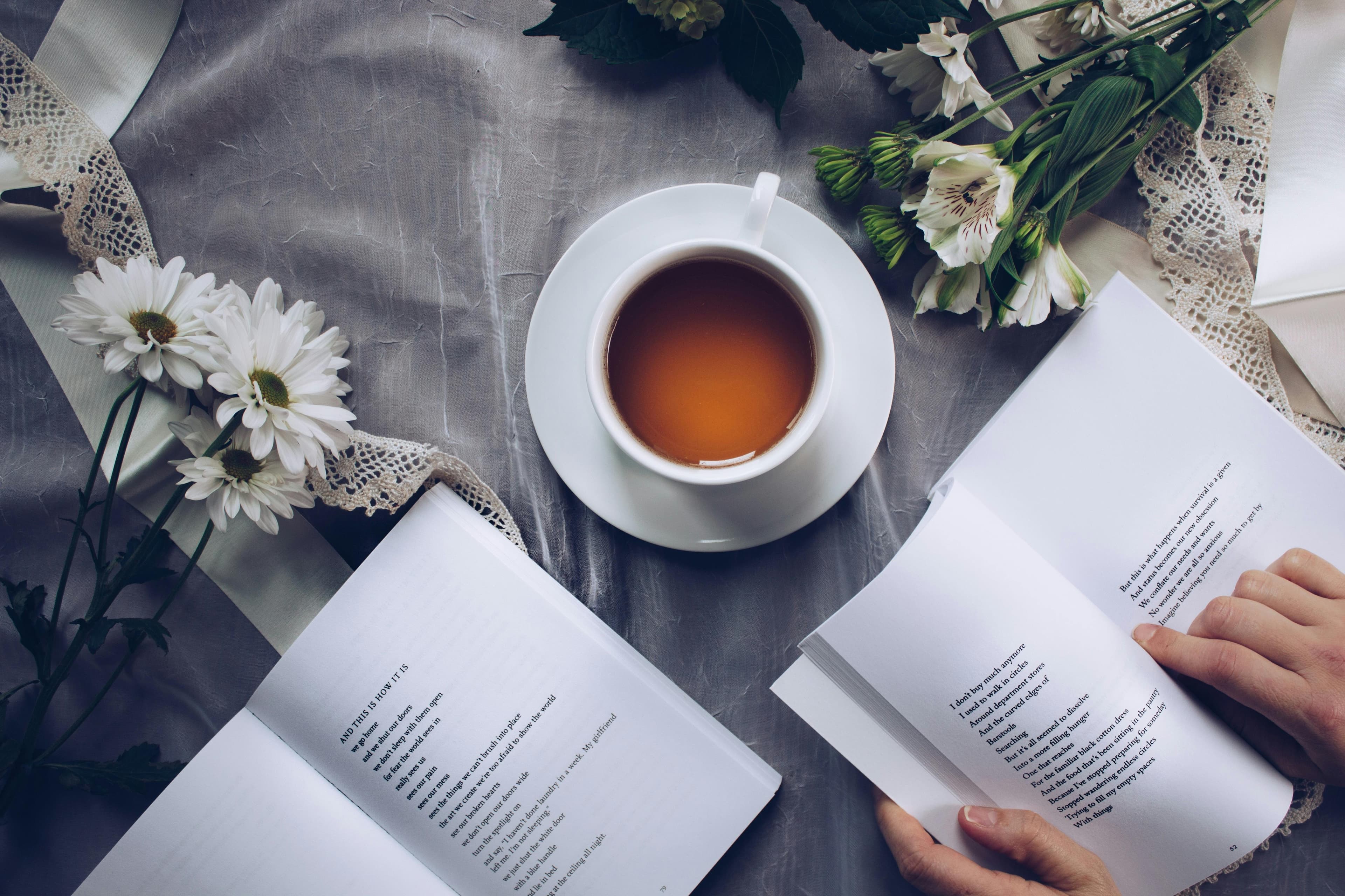 Cozy reading scene